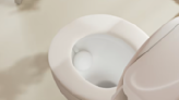 CES 2023: One of the most popular gadgets at the show goes in your toilet