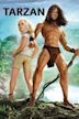 Tarzan (2013 film)