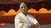 Didi halts drive to evict hawkers, warns against cop-neta nexus | India News - Times of India