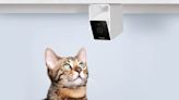 The Petcube Cam is one of our favorite pet cameras and Amazon has it for up to 40% off