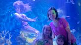 'The Little Mermaid' inspires West Palm mom to take family to see Florida's live mermaids