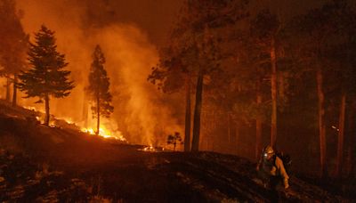 Video shows "heroic rescue" of man and his dog from California Airport Fire