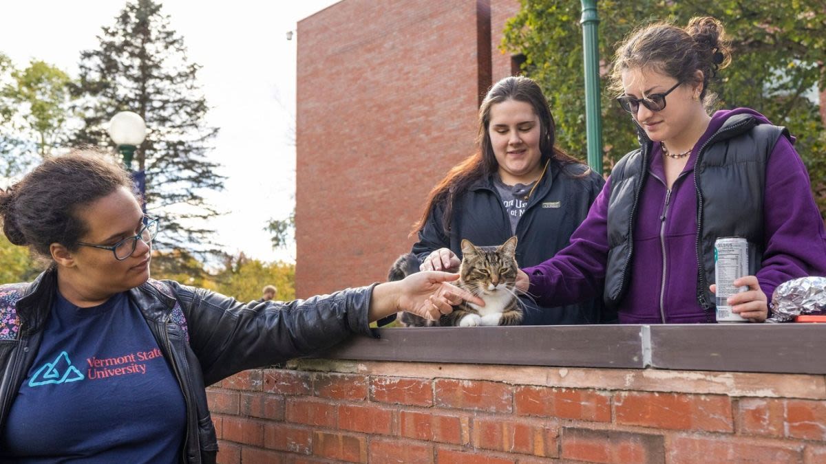 Cat Becomes "Doctor of Litter-ature" After Being Awarded Honorary Degree From Vermont State University