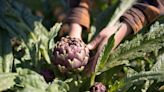 7 Perennial Vegetables You Can Enjoy For Seasons To Come, According To An Expert