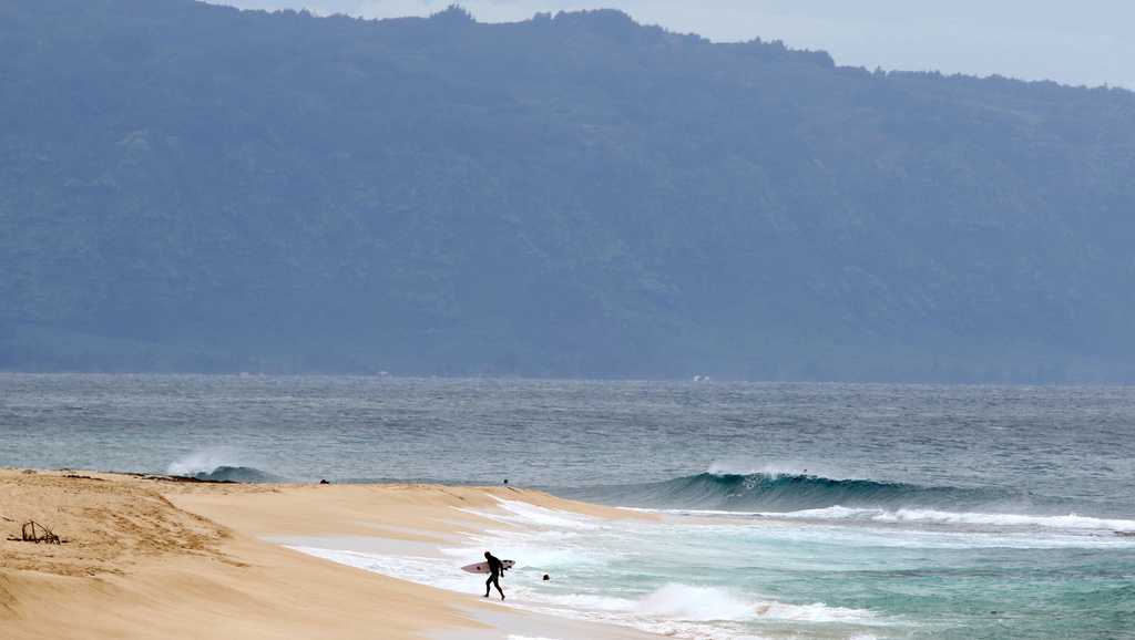 'A tragic loss': Hawaii lifeguard dies in shark attack while surfing