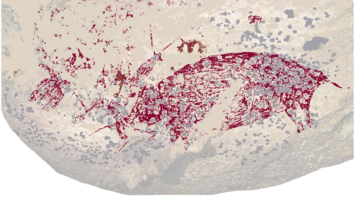 Oldest human depiction of a “scene” found in Indonesian rock art from more than 50,000 years ago