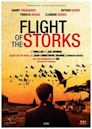 Flight of the Storks