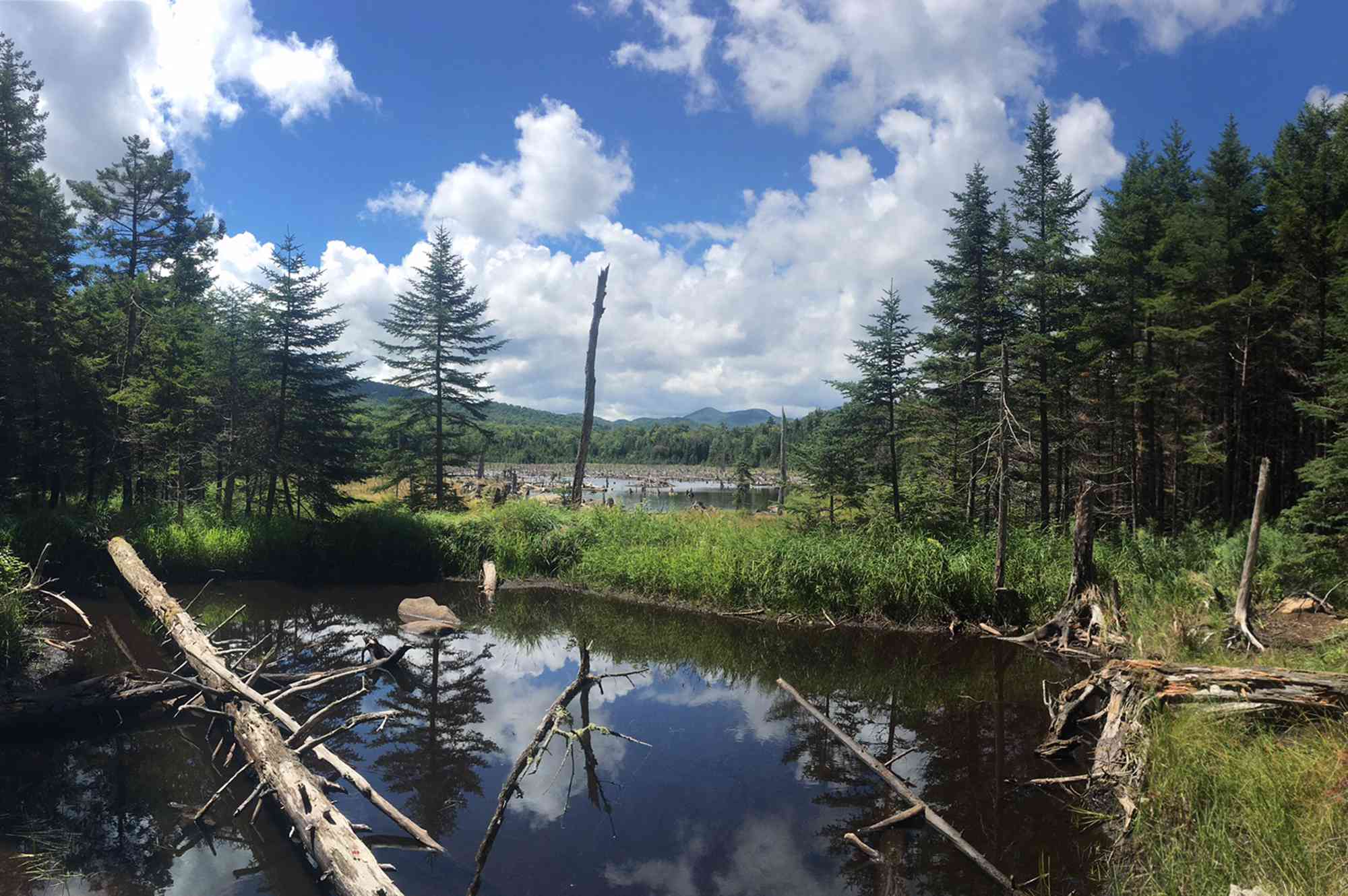 This Long-distance Trail Is New York's Oldest — and It Has Backcountry Swimming Holes and Overnight Shelters