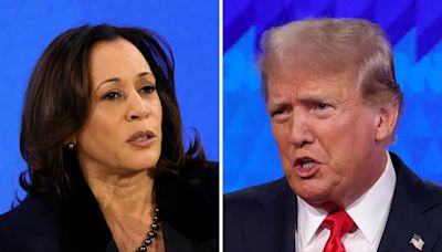 Kamala Harris' chances of beating Donald Trump if she replaces Biden: Polls