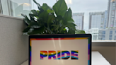 USC celebrates the beginning of Pride Month over Zoom - Daily Trojan