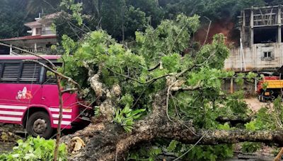 Passenger injured as tree falls on moving bus in Idukki