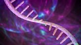 New genetic cause of intellectual disability potentially uncovered in 'junk DNA'