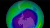 Three scientists found a hole in the ozone layer, prompting a global treaty