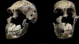 Underworld discovery casts doubt on our understanding of human evolution