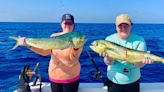 Central Florida fishing: Dolphin daze are here; Snook harvest season closed