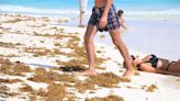 Disminuye pasto marino por sargazo en costas de Quintana Roo