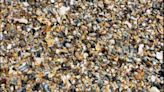 Spot The Ring Among The Sea Shells. Take As Much Time As Want - News18