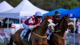 2024 Belmont Stakes horses, entries, odds, date: Expert who nailed 4 of 6 winners releases picks, predictions