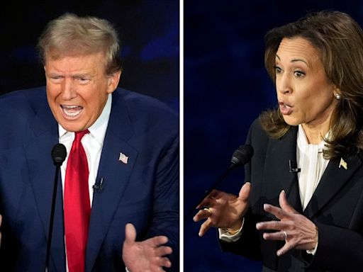 Kamala Harris widens lead over Donald Trump, blunts his edge on economy and jobs, new poll finds