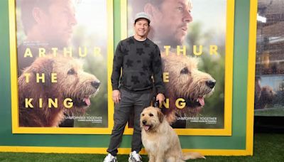 Is ‘Arthur The King’ Streaming? Here Are Ways To Watch Mark Wahlberg’s Dog Movie Online