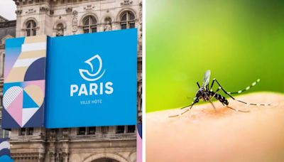 France Says Is All Set To Combat 'Super Spreader' Dengue Ahead Of Paris Olympics 2024