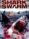 Shark Swarm – Angriff der Haie