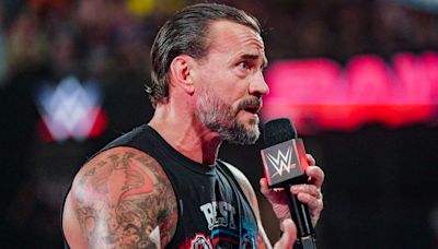 Kevin Nash Assesses CM Punk's Creative Since WWE Return - Wrestling Inc.