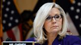 'Do not sit this one out': Liz Cheney says election could bring second insurrection