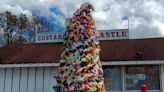 Locals say these are the best ice cream/custard stands in South Jersey