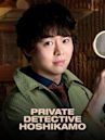 Private Detective Hoshikamo