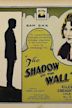 The Shadow on the Wall (1925 film)