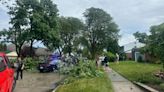 Why sirens didn't alert Livonia to deadly tornado