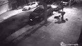 Video impactante: buscan a un hombre que le dio una brutal paliza a su perro mientras lo paseaba | Policiales