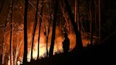 Incêndios em Portugal relembram tragédias passadas