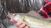 Anglers should find favorable conditions, including for walleye, on Wisconsin inland fishing opener