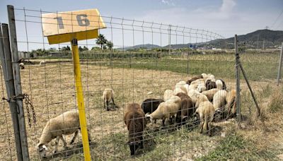 Miles de fincas rústicas del área de Barcelona empezarán a pagar el Tributo Metropolitano este 2024 tras un revés del Supremo