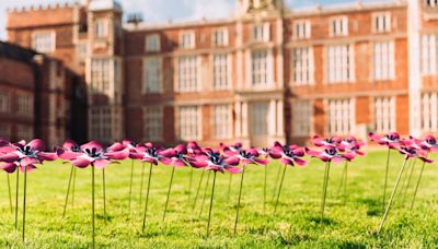 Field of forget me nots will remember lost loved ones in touching East Yorkshire tribute