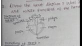 Student personalises heart diagram with girls’ names, reveals dating details on anatomy paper; netizens can’t keep calm | Today News