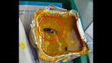 Vande Bharat passengers claims finding dead cockroach in meal, IRCTC imposes penalty on service provider