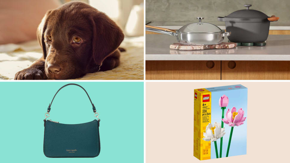 10 best weekend sales: Save at HexClad, Target, Kate Spade, QVC