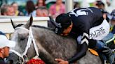 Preakness winner Seize the Grey is likely running in the 1st Belmont at Saratoga