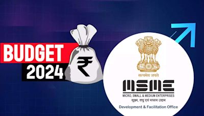 How govt has beefed up financial support to MSMEs in Union Budget - ET BFSI