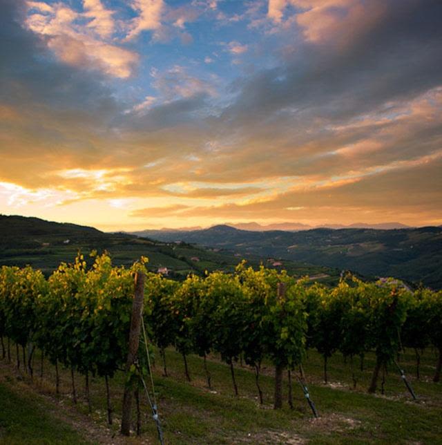 Four Brothers At Tenuta Sant-Angelo Are Working To Improve The Image Of The Wines Of Veneto