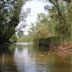 De Biesbosch National Park