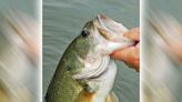 With spring largemouths, water temperature can dictate the bite throughout the day - Outdoor News