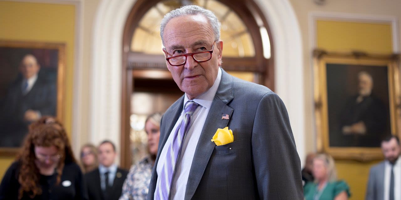 Schumer Forces Republicans to Take Sides on IVF, Contraception