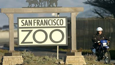 Is this America's most dangerous zoo? Shocking video shows zookeeper being chased by a grizzly bear at same wildlife center where visitor was killed by escaped tiger