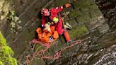 Lamb rescued after being trapped on ledge above water for hours