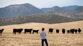 Grupos ecologistas de CA apelan sentencia favorable a construcción de nuevo embalse