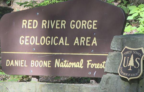Daniel Boone National Forest may begin charging fees to use Red River Gorge trails, increase camping prices